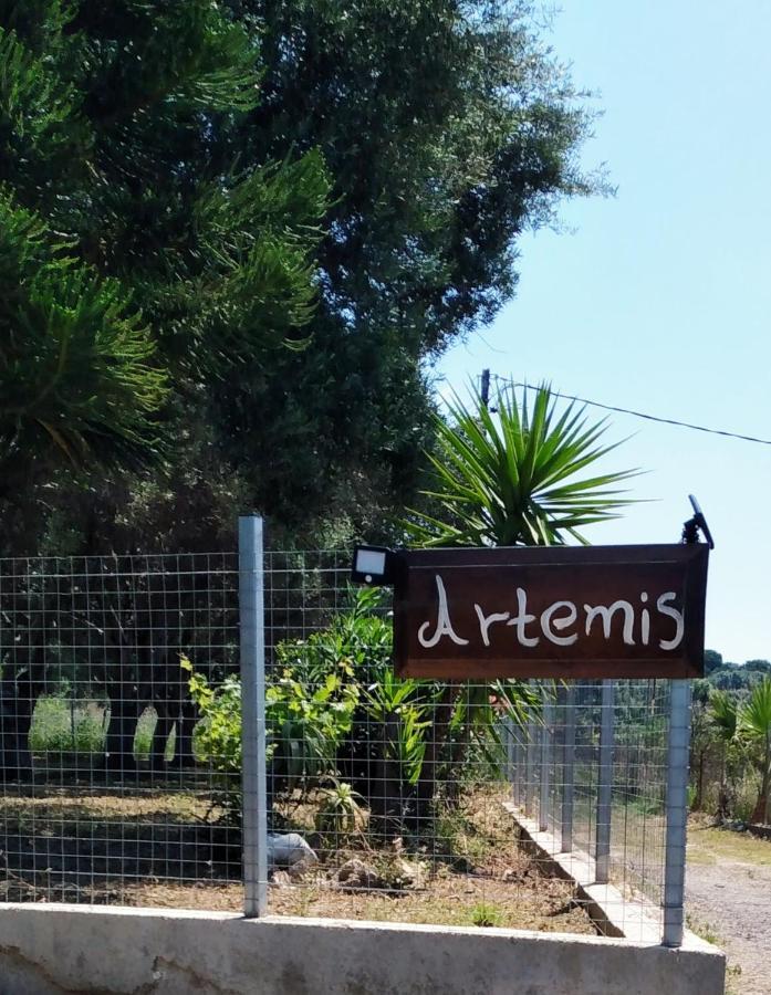 Artemis *